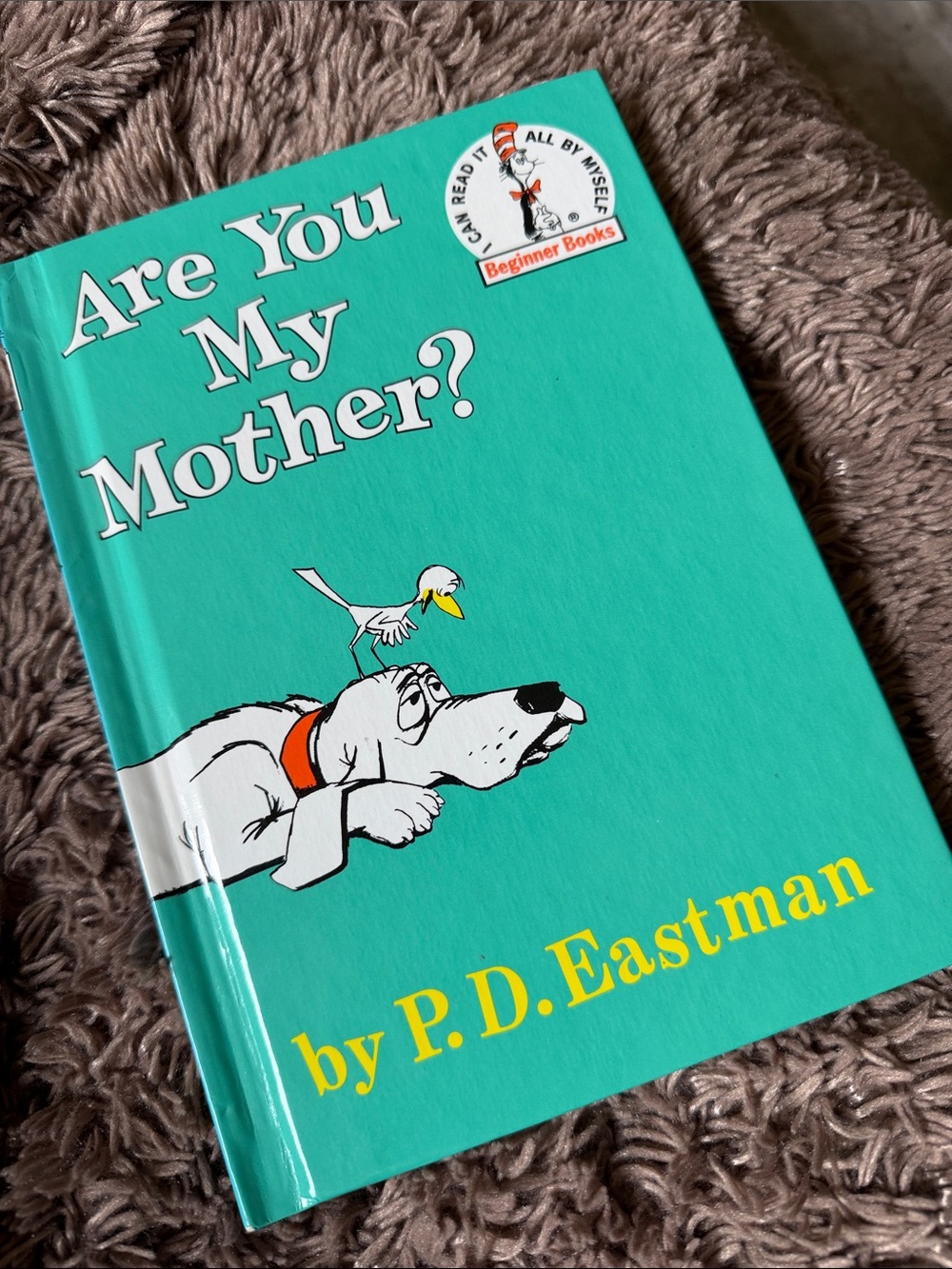 Vintage 1960 Dr. Seuss Are You my mother by PD Eastman
